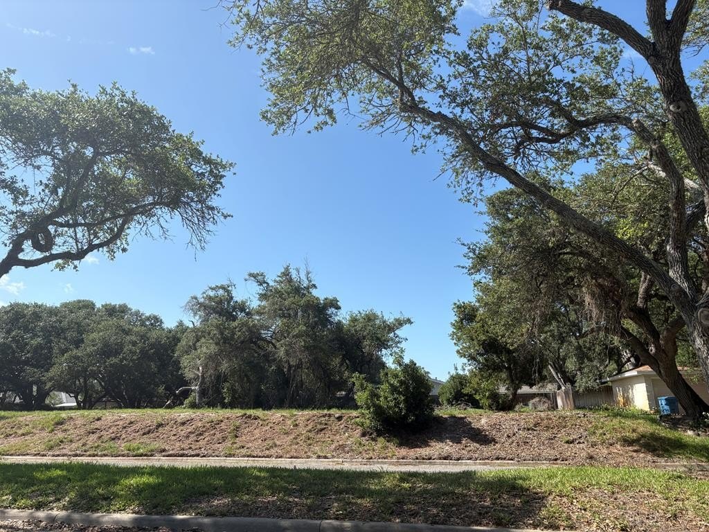 Picture 2
