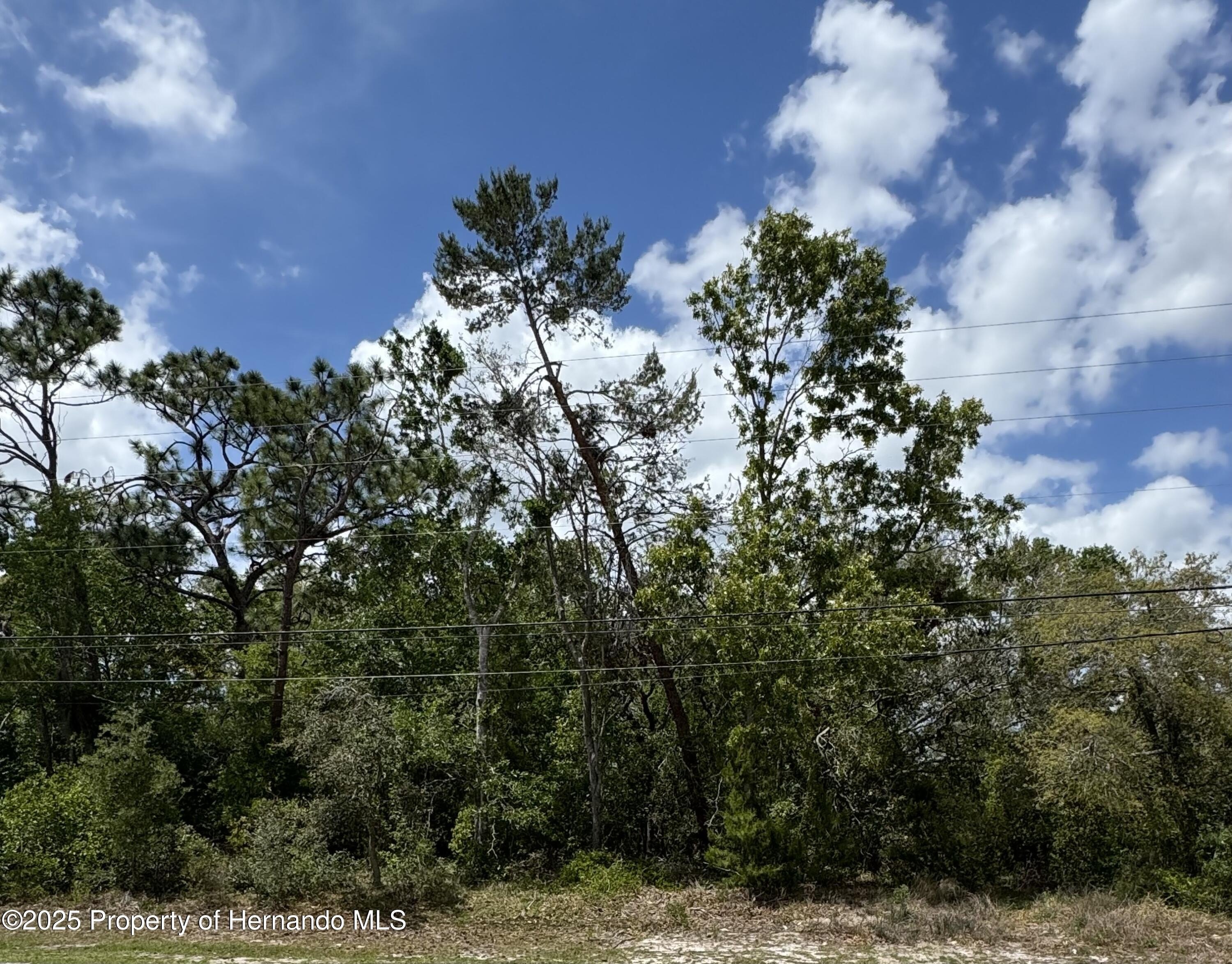 Oversized Lot in Spring Hill