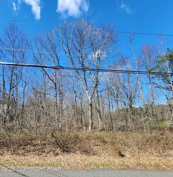 Wooded Lot in Penn Forest