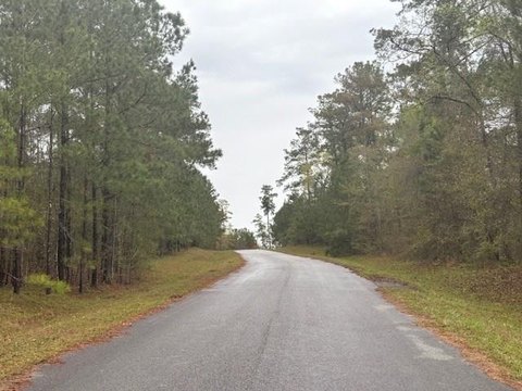 Land in Serene Bainbridge, GA