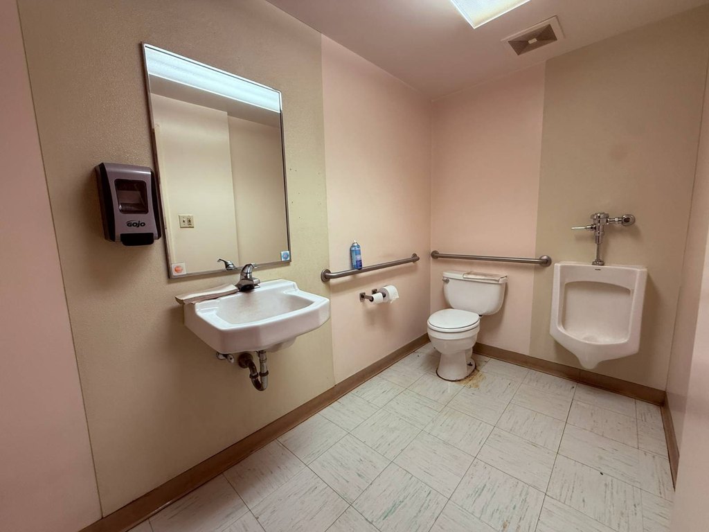 Picture 11