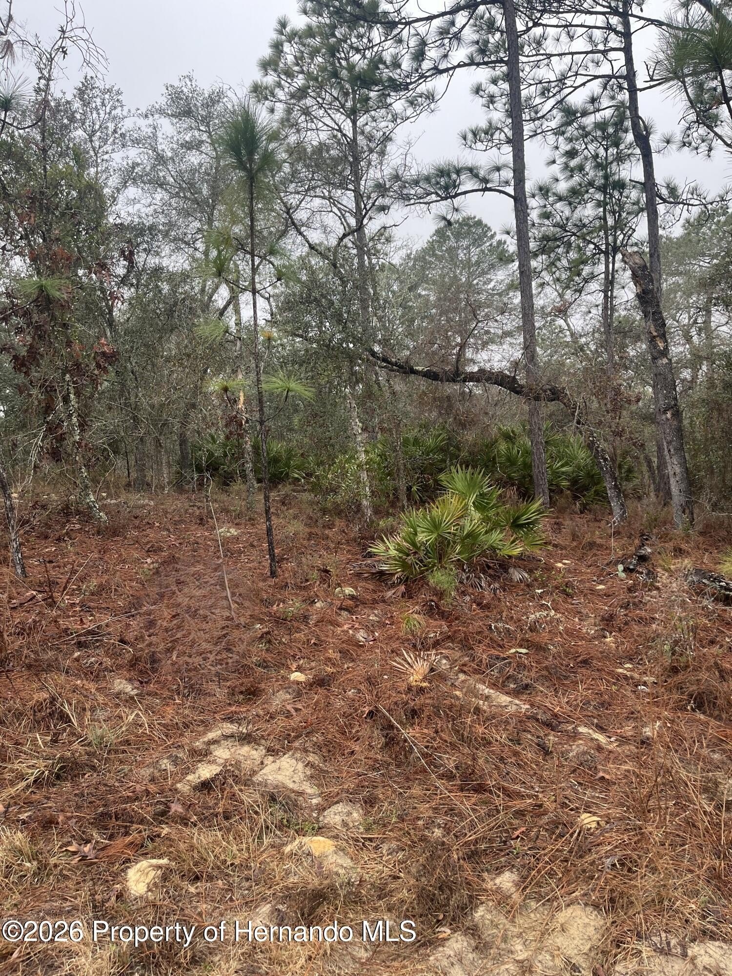 Residential Homesite in Citrus Springs