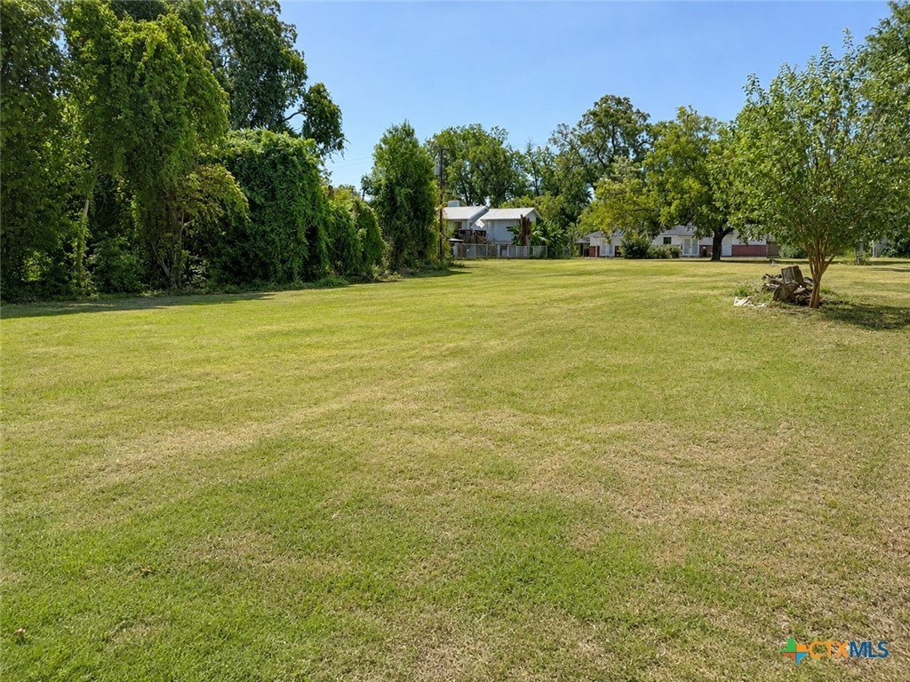 Picture 8