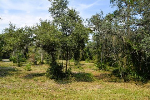 Land, OSTEEN, FL
