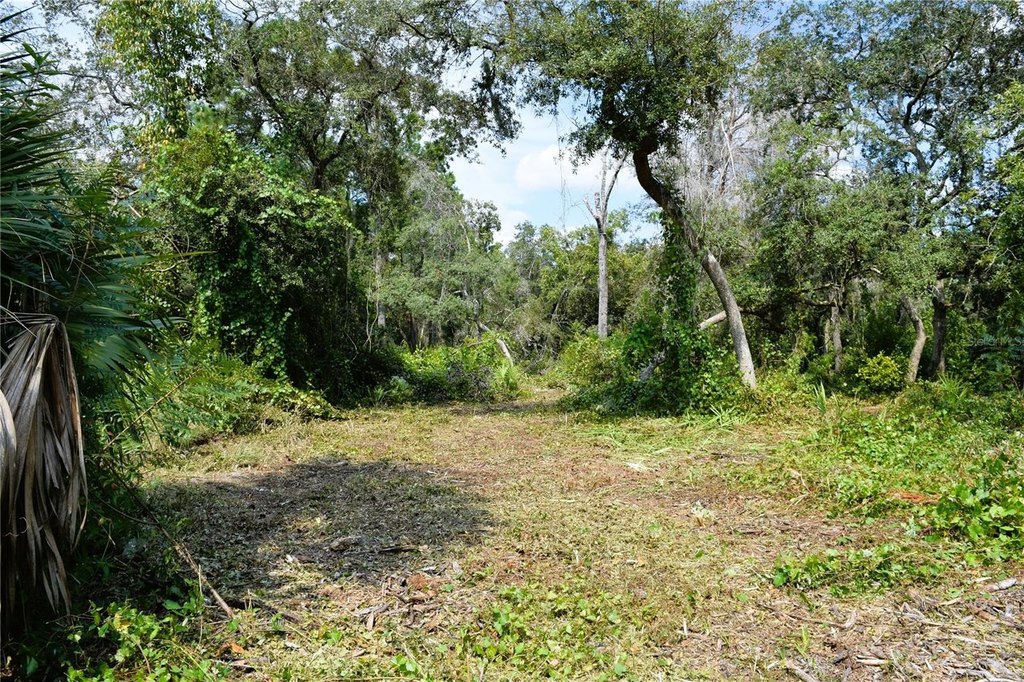 Picture 8