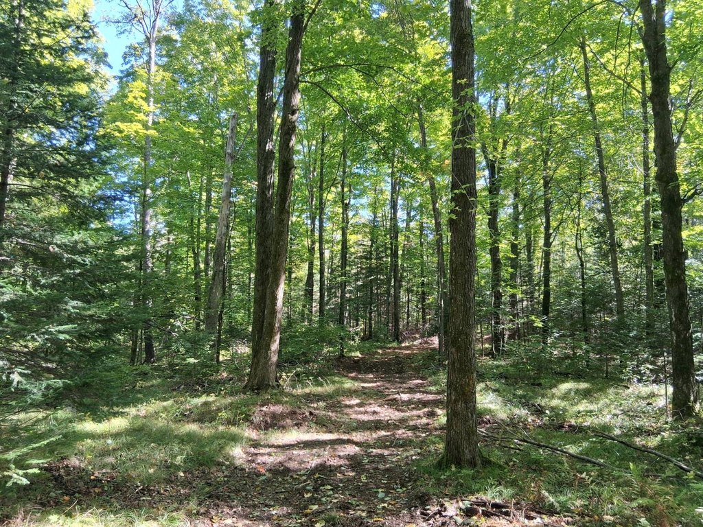 Picture 8