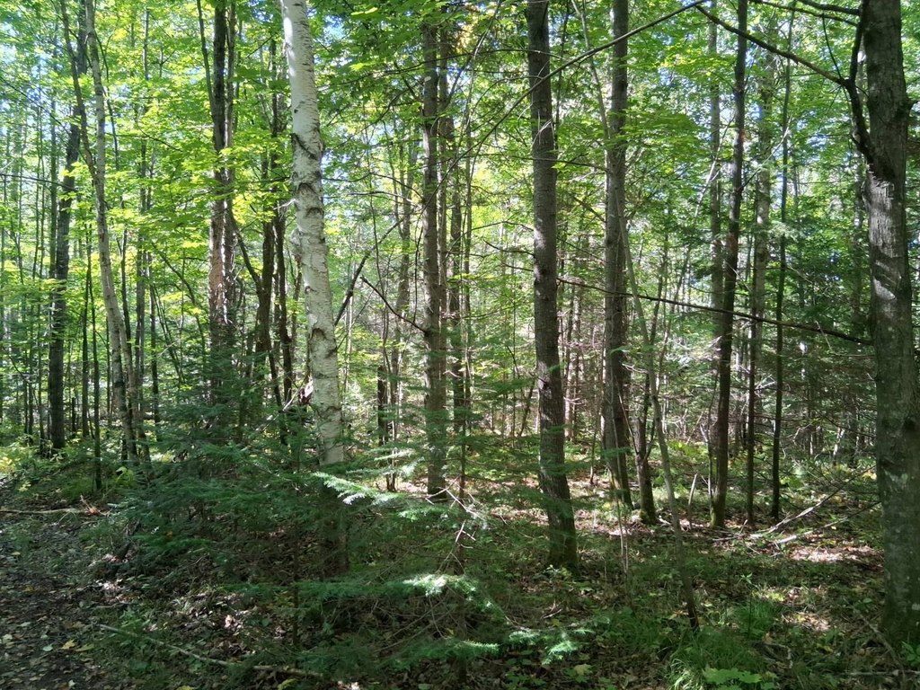 Picture 7
