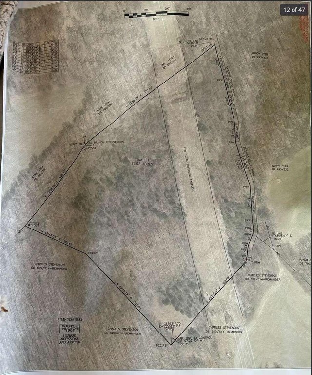 Picture 18