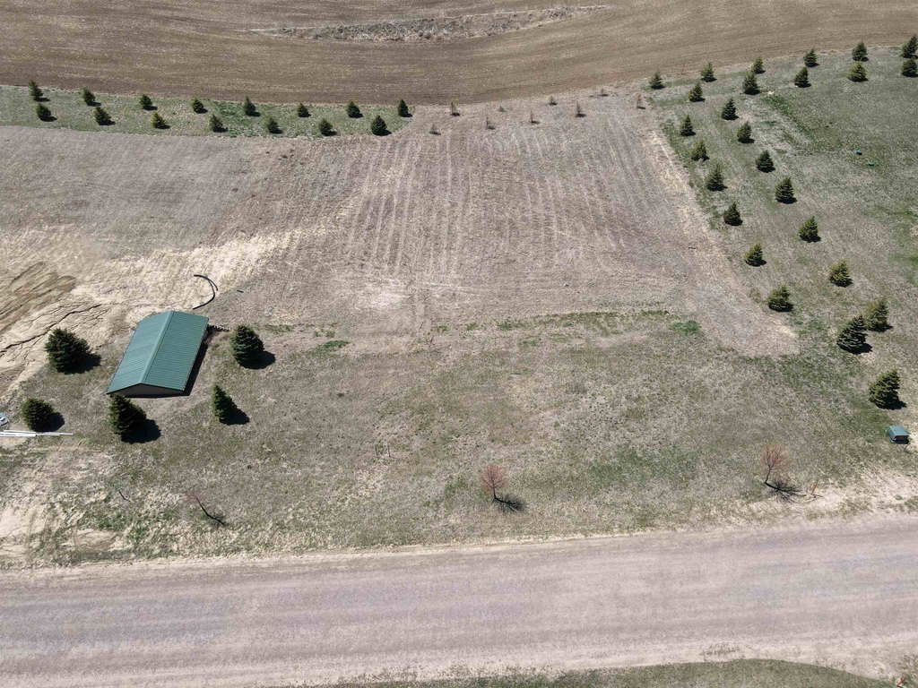 Picture 5