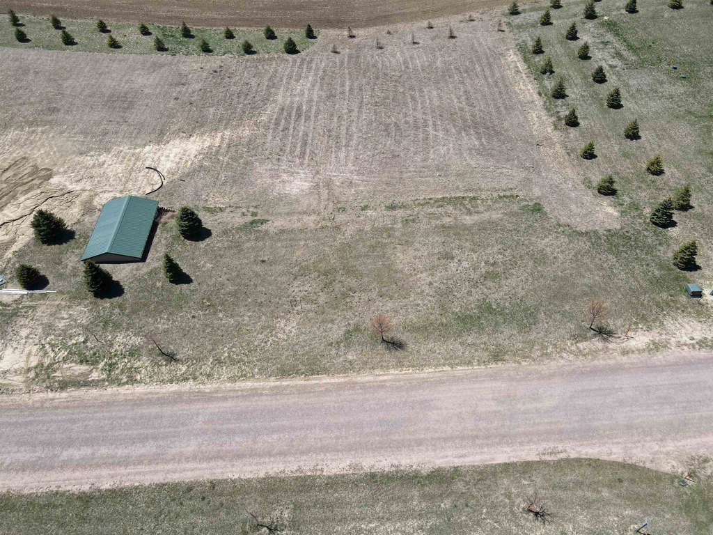 Picture 4