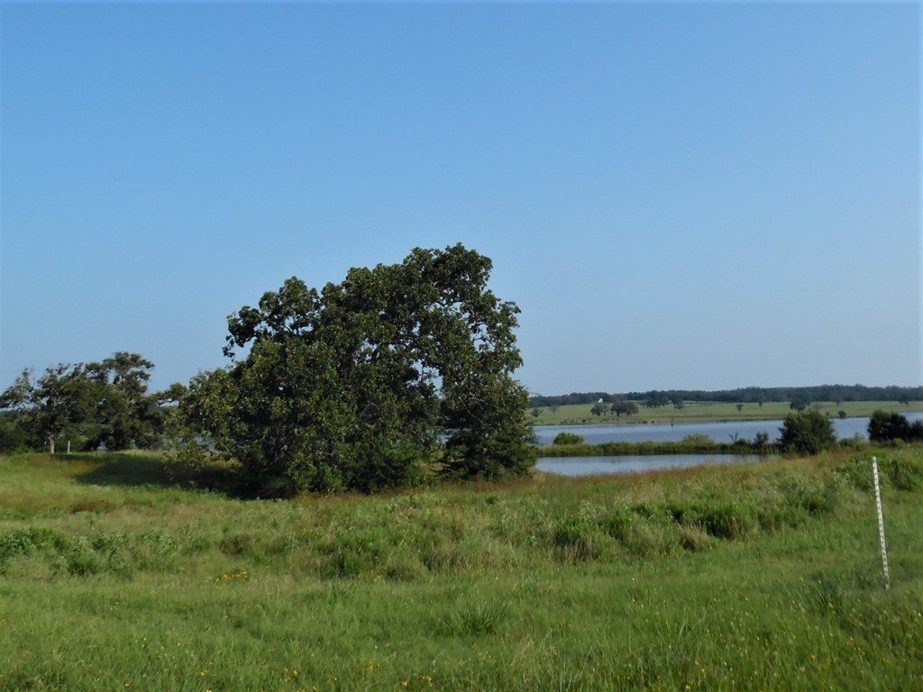 Picture 8