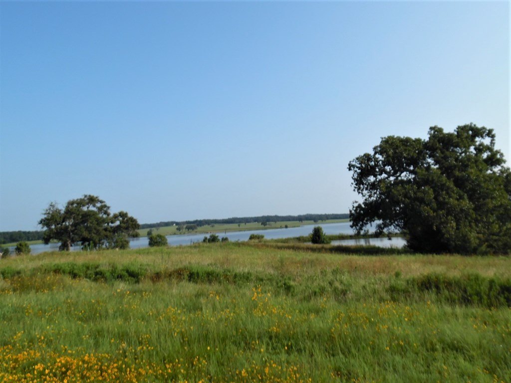 Picture 9