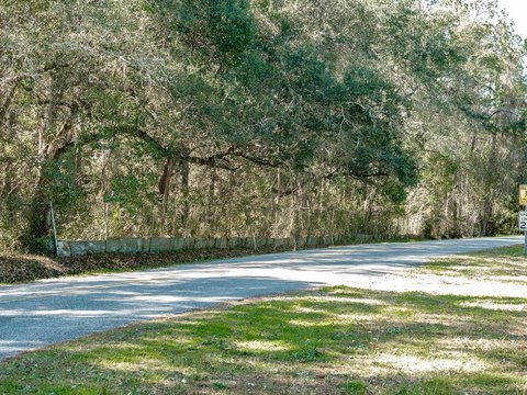 Spacious Wooded Lot Near Apalachicola