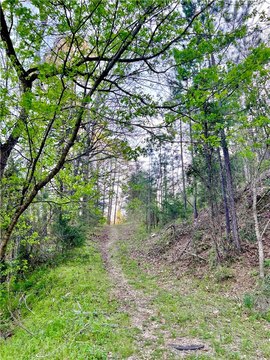 Eureka Springs Land Opportunity