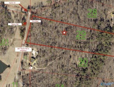 Wooded Land with Building Potential