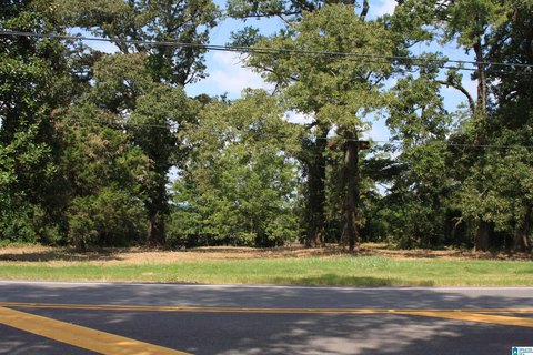 LAND - CALERA, AL