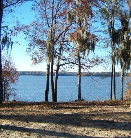 Waterfront Lots in Gated Community