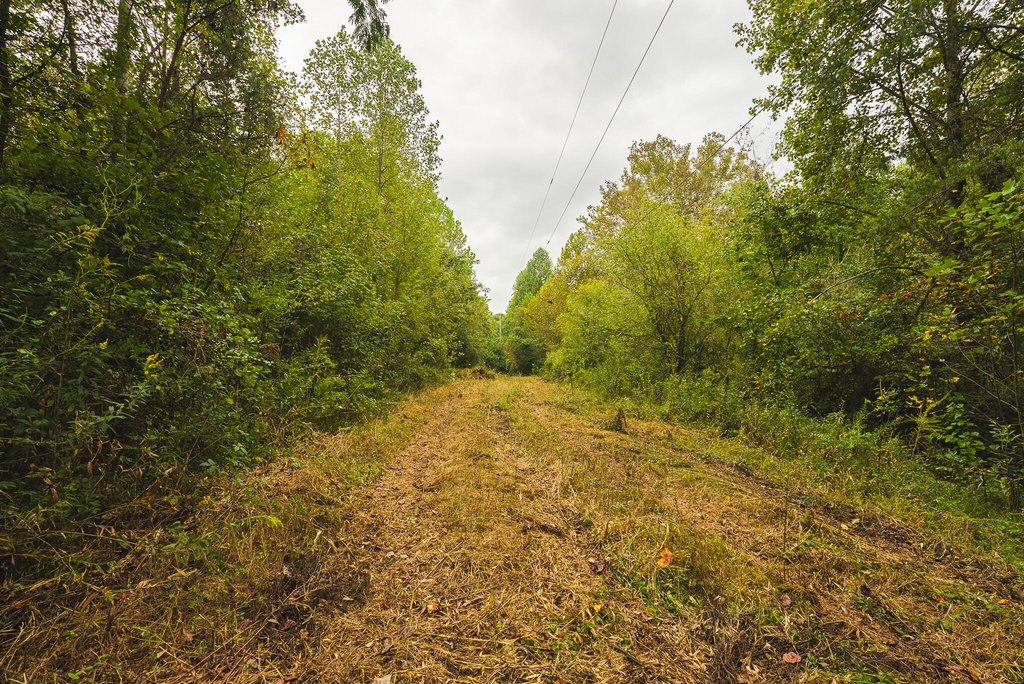 Picture 25