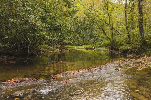 Land, Rogersville, TN