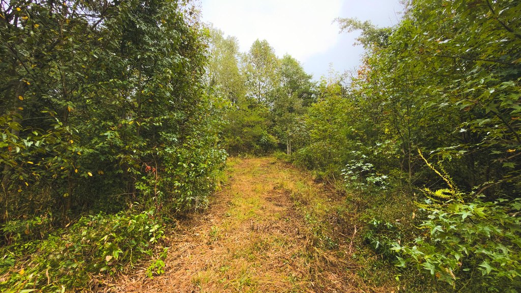 Picture 39