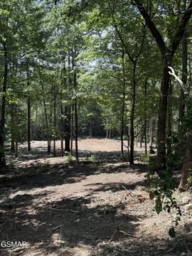 Land, Sevierville, TN