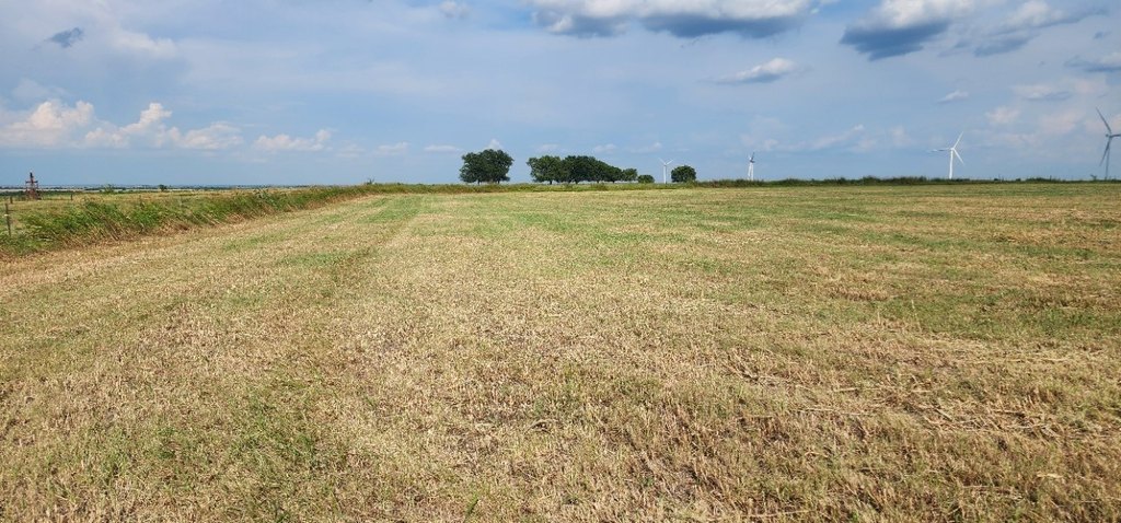 Picture 10