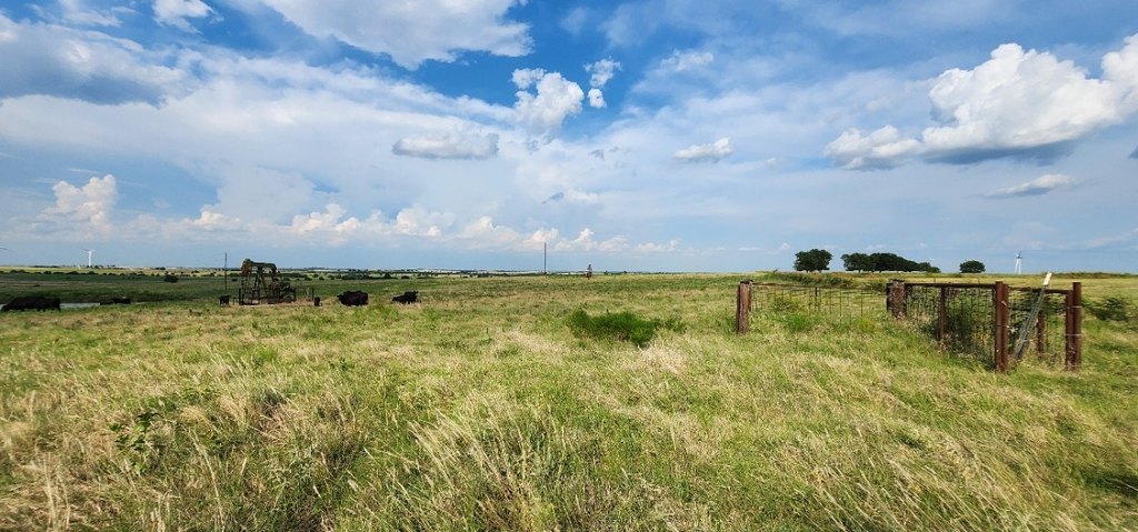 Picture 9