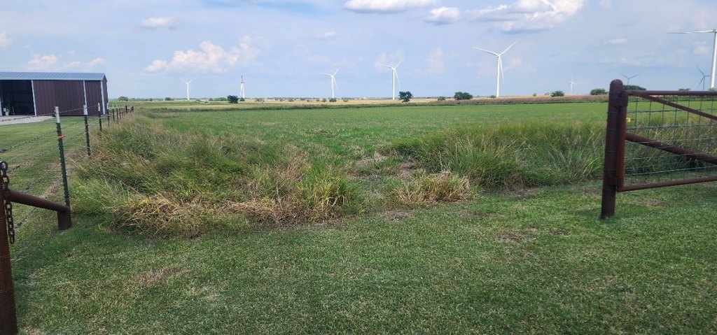 Picture 14