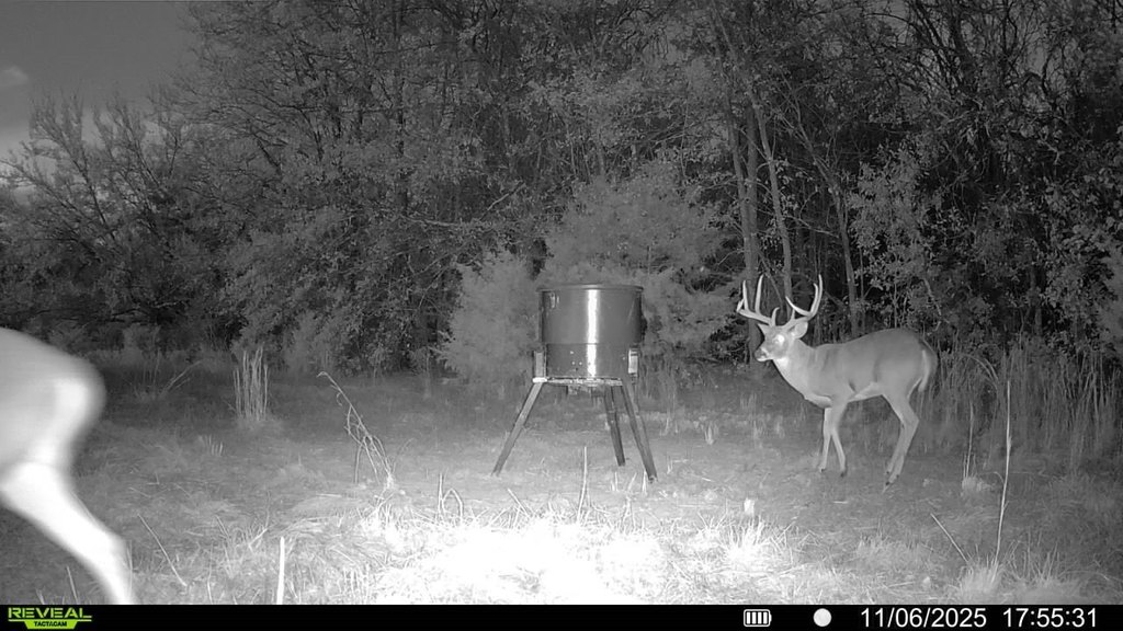 Picture 5