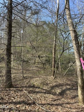 Land, Danbury, NC