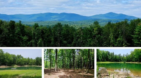 80 Acres Prime Mountain-View Land