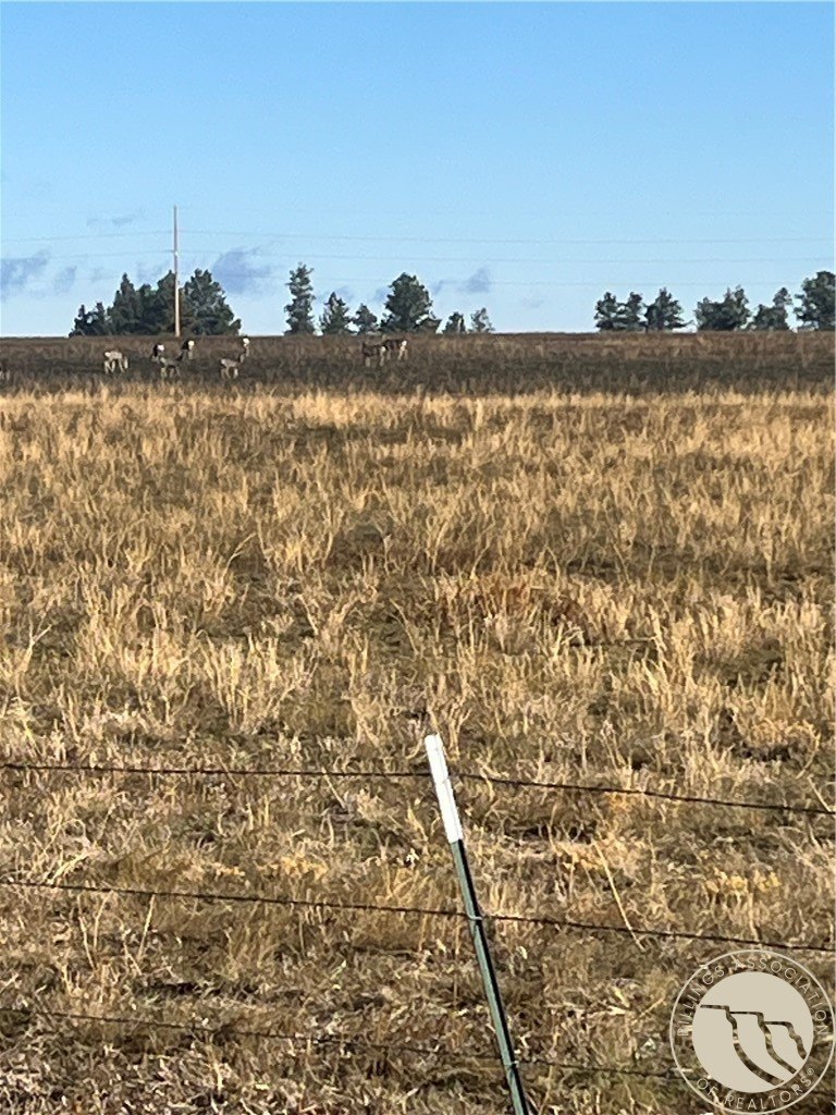 Roundup, MT - 3 Acre Land