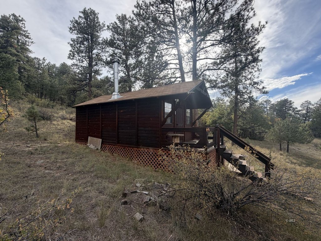 Picture 19