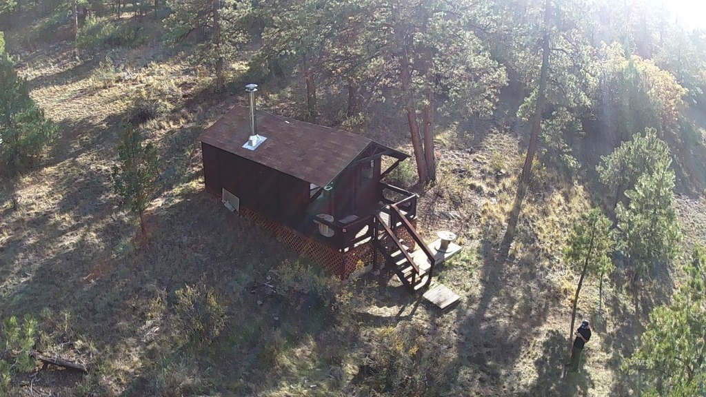Picture 3