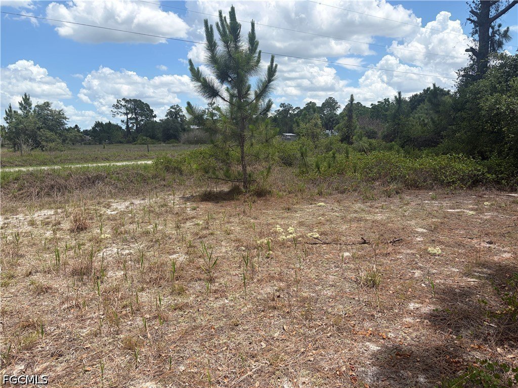 Picture 2