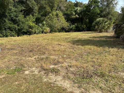 Apopka, FL Vacant Residential Land