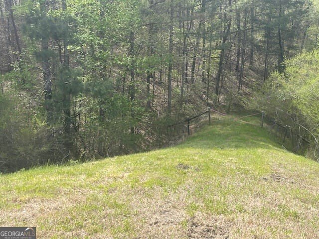 Picture 11