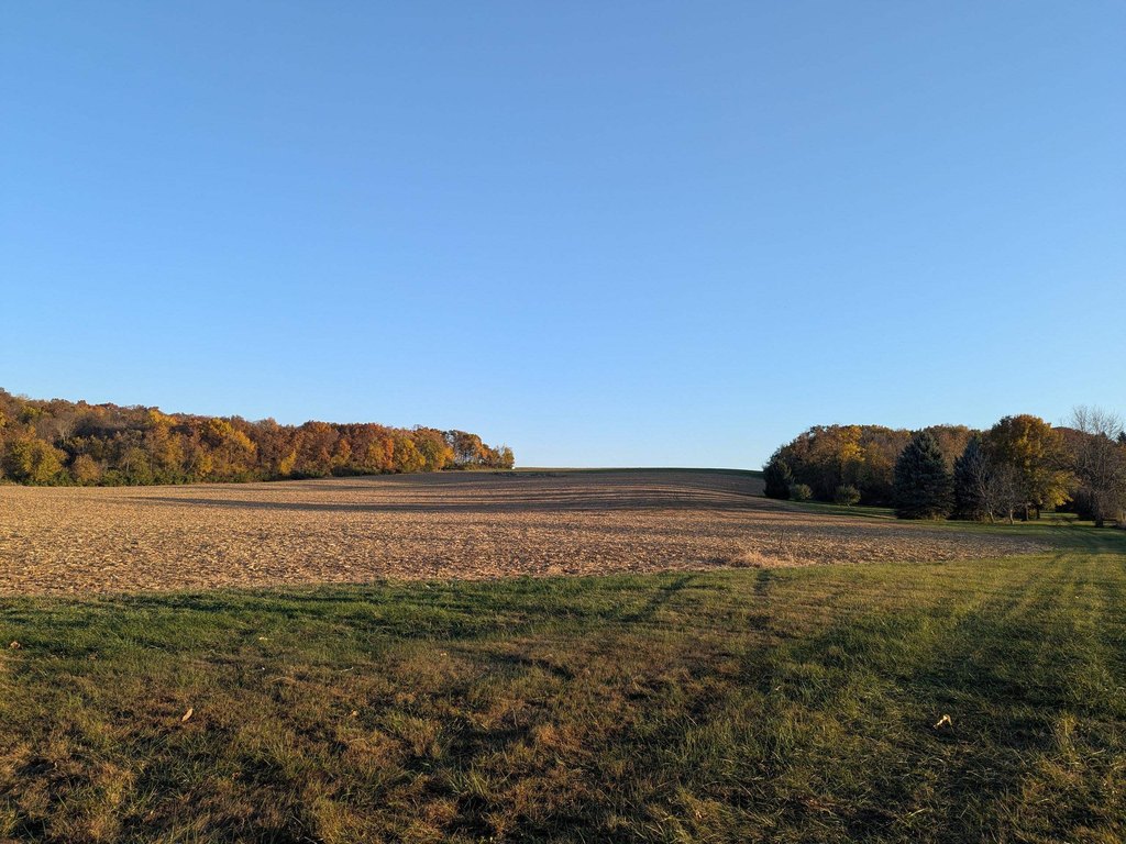 Picture 6
