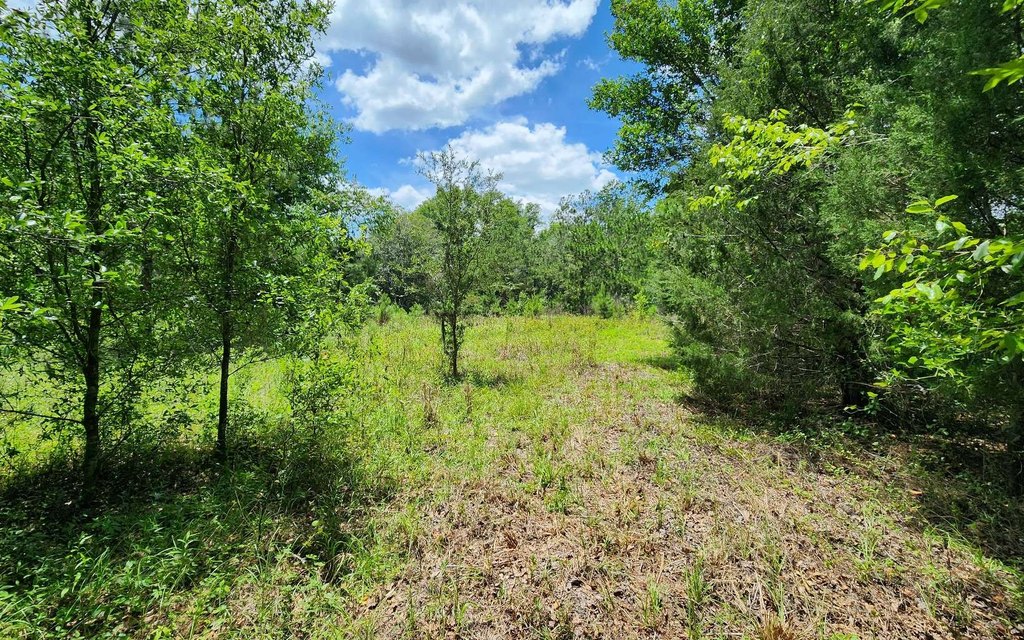Picture 21