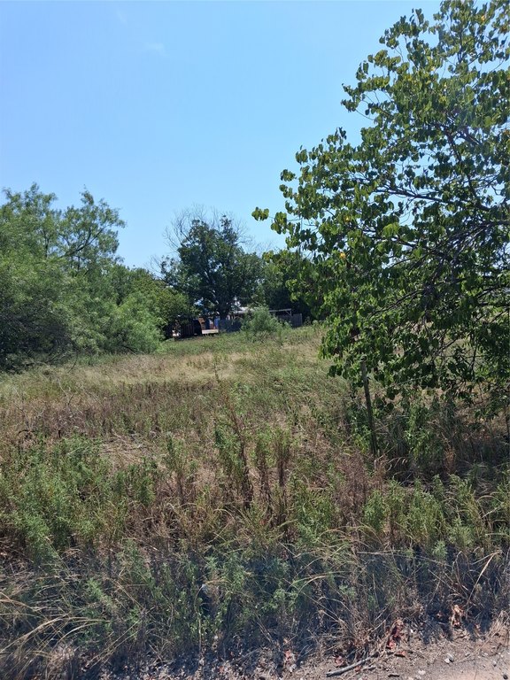 Picture 5