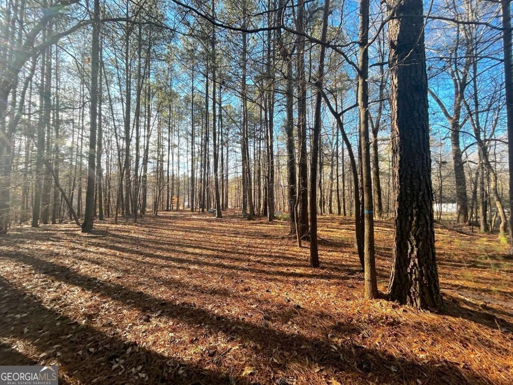 Picture 9