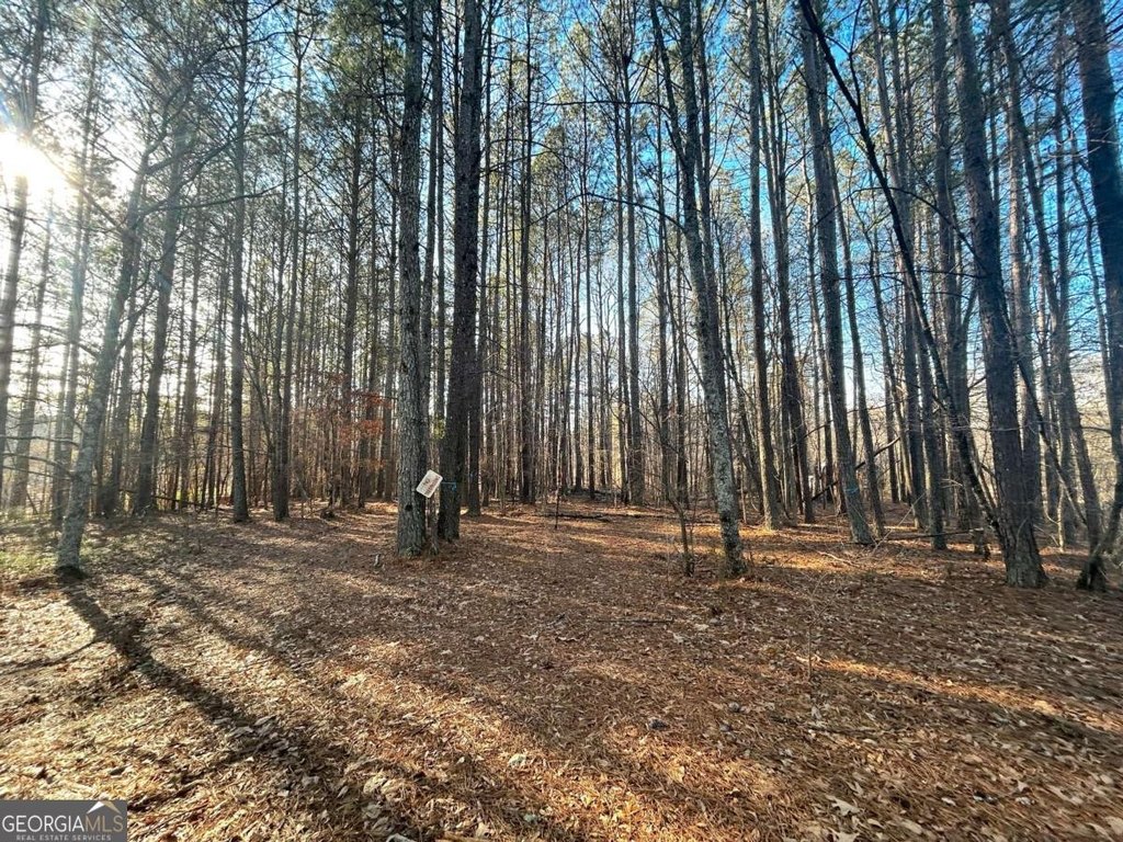 Picture 4