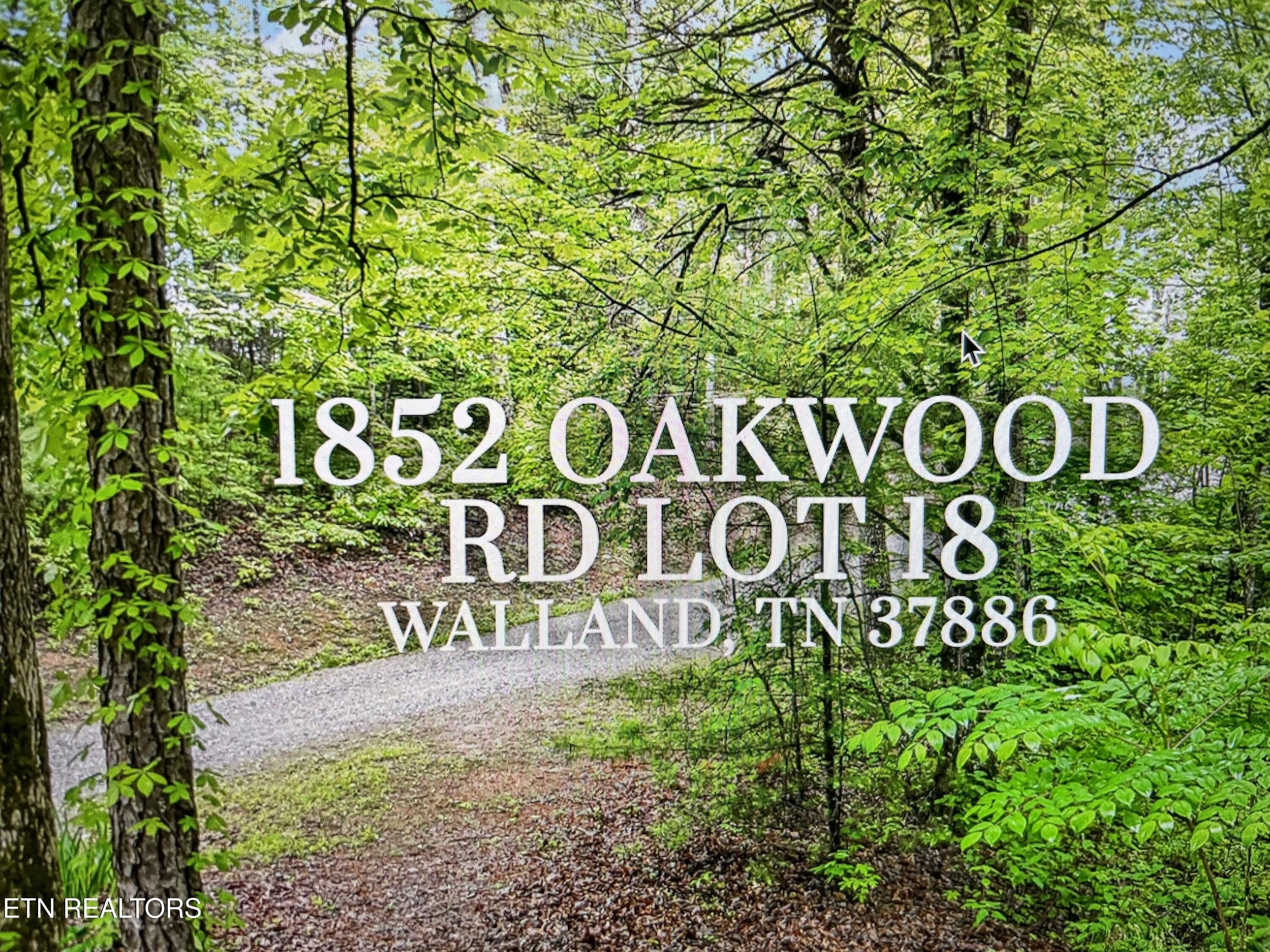 Prime Land in Saddle Ridge