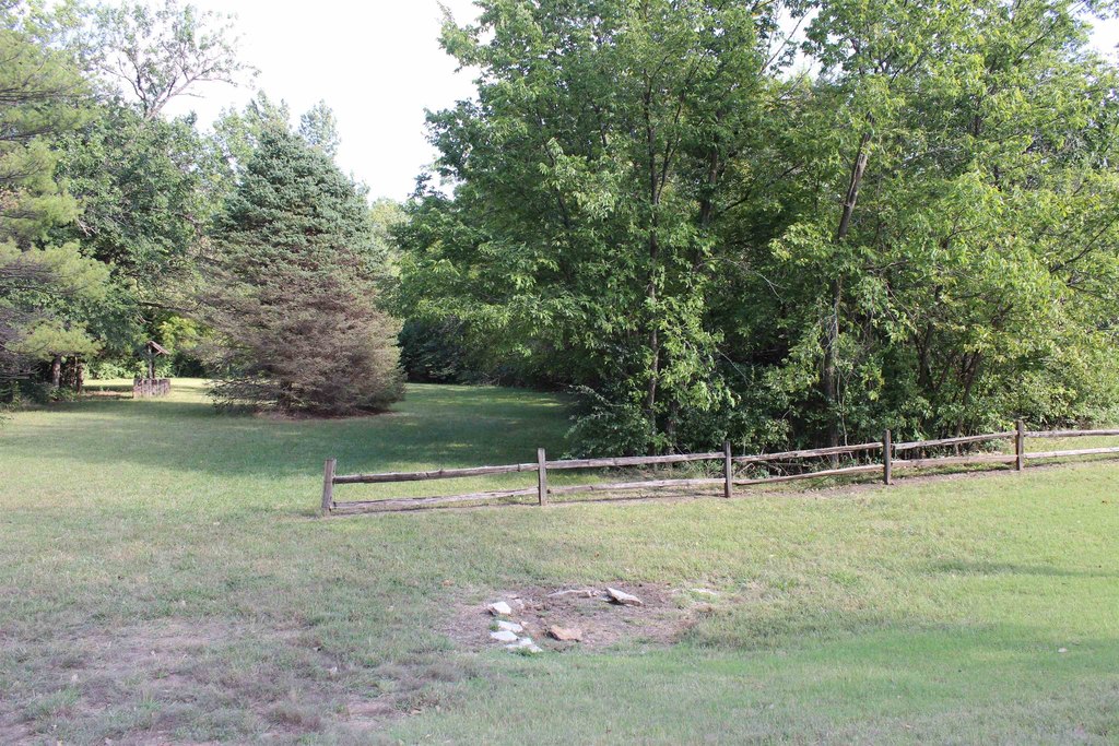 Picture 4