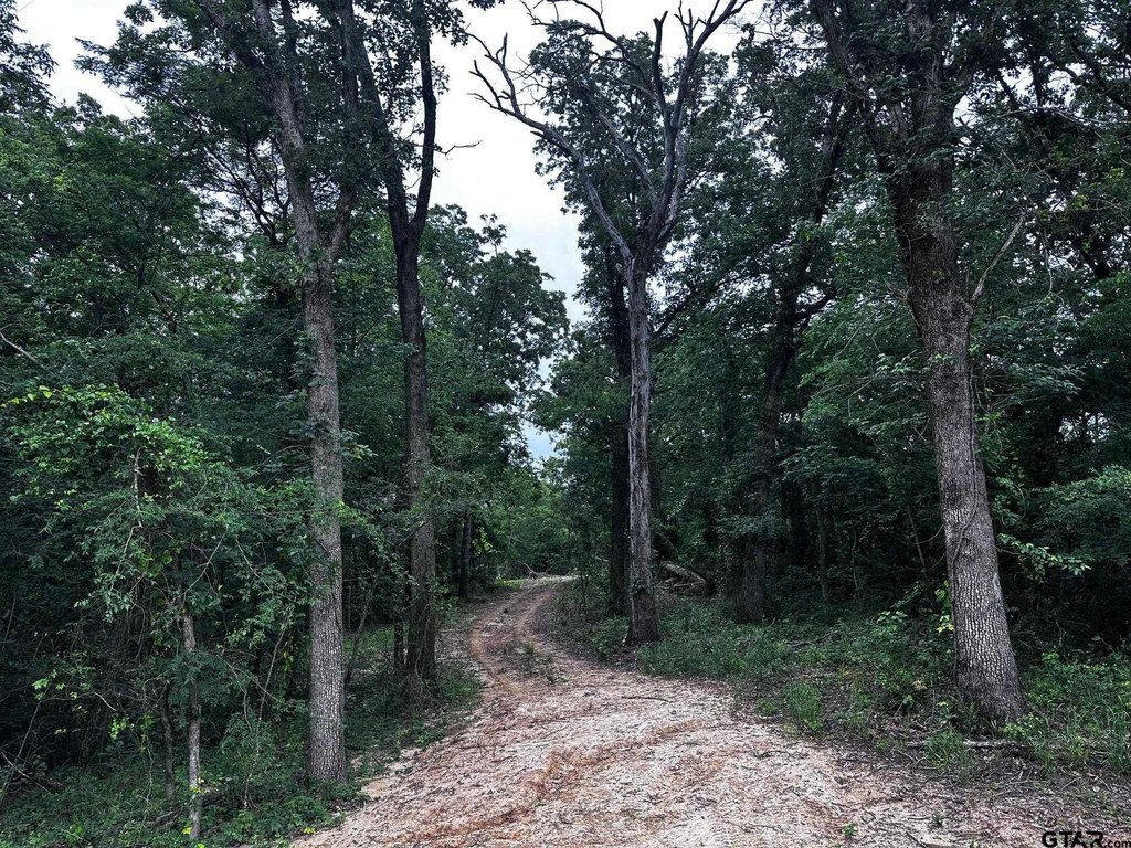 Picture 10