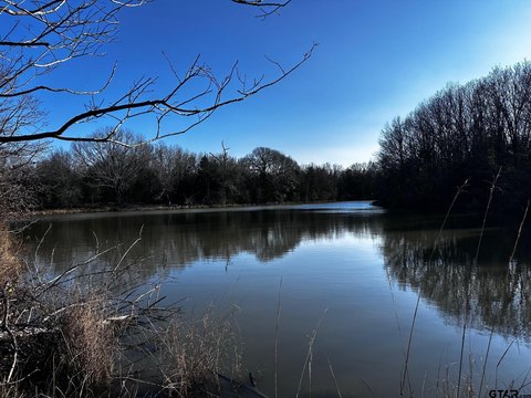 Wooded Land Tract for Development