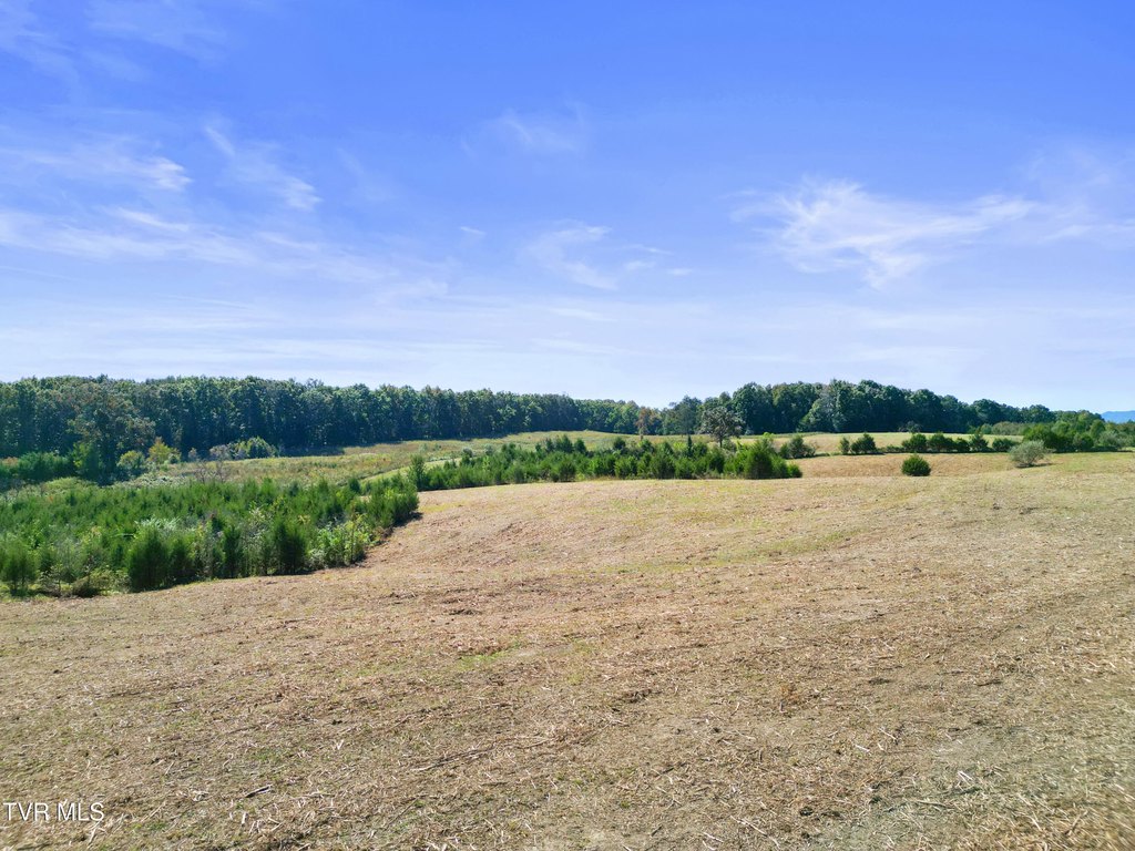 Picture 23