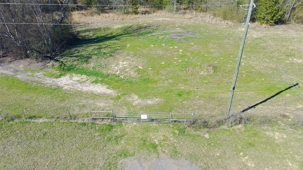 Picture 5