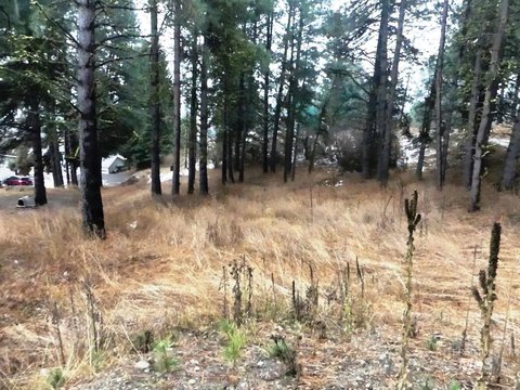 Residential Lot in Cascade, ID