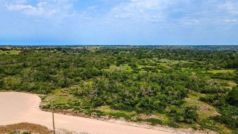 Harper, TX Land Tract